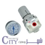 خرید رگلاتور پنوماتیک